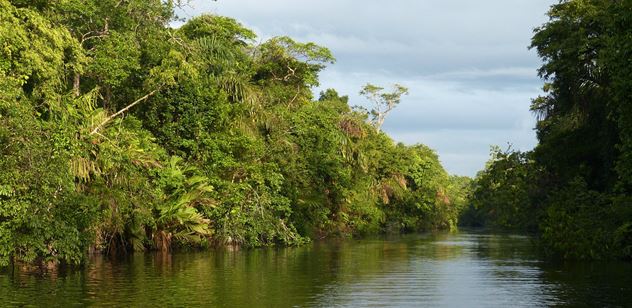 The Sustainable Development Goals