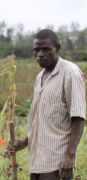 Invasive parthenium image