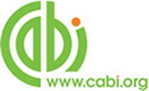 Diagnostic and Advisory Services