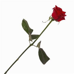 AgBioTechNet user guide