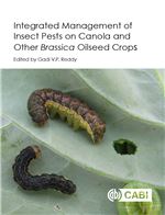 Book cover for Integrated management of insect pests on canola and other <i xmlns="http://www.w3.org/1999/xhtml">Brassica</i> oilseed crops.