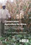 Cover for Implementing the principles of conservation agriculture in Malawi: crop yields and factors affecting adoption.