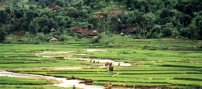 AIRCA reacts to third meeting of G20 Agricultural Chief Scientists