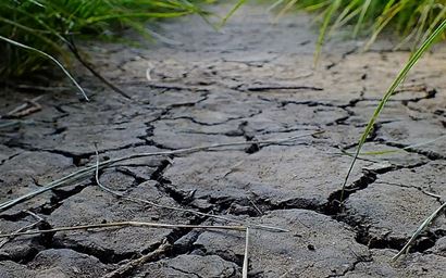 Cracked dry earth