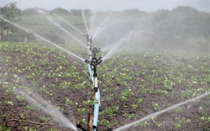 Irrigation in a field.