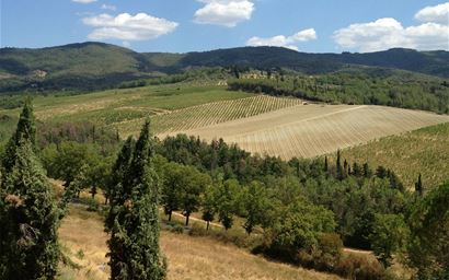 Agricultural landscape in tuscany.