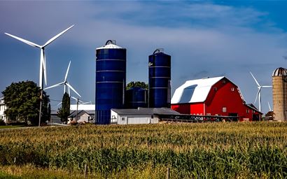 Farm buildings and wind mills behind a maize field.