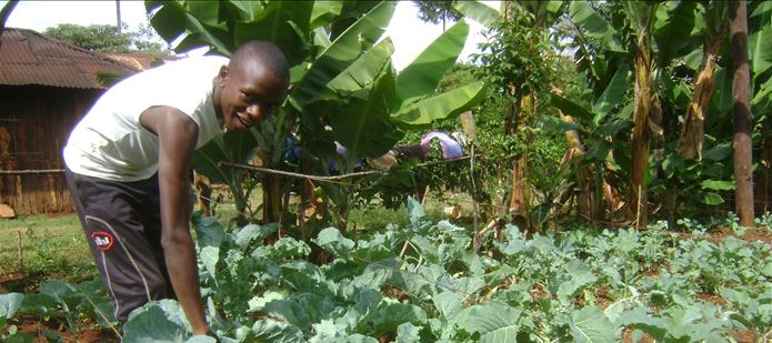 New soil health website supports African farmers on World Food Day