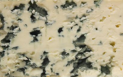 Macro of blue cheese