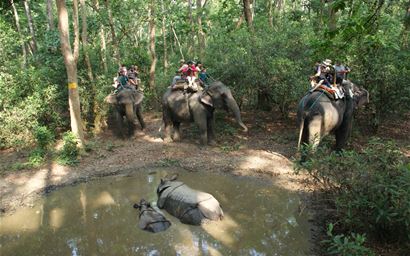 Elephant riding in Chitwan National Park