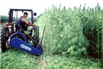 Harvesting
Fibre hemp harvesting with a mowing machine