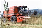 Harvesting Hemp harvesting with a combine fitted with a cutting head