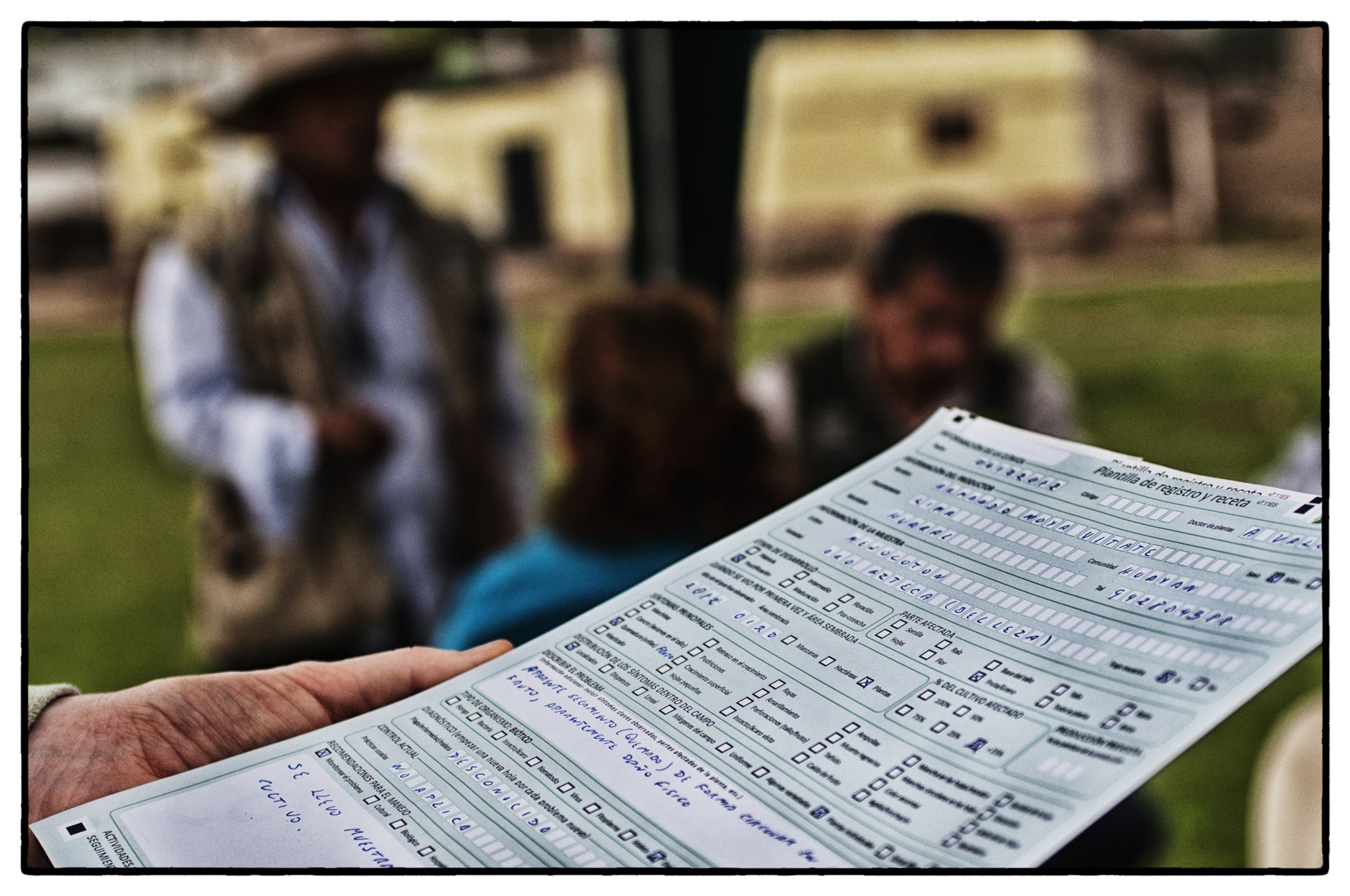 Edwardsiella ictaluri, E. tarda, Aeromonas hydrophila and Pseudomonas fluorescens on Edwardsiella isolation media incubated at 25°C for 48 h. (Photo by D. Earlix.)