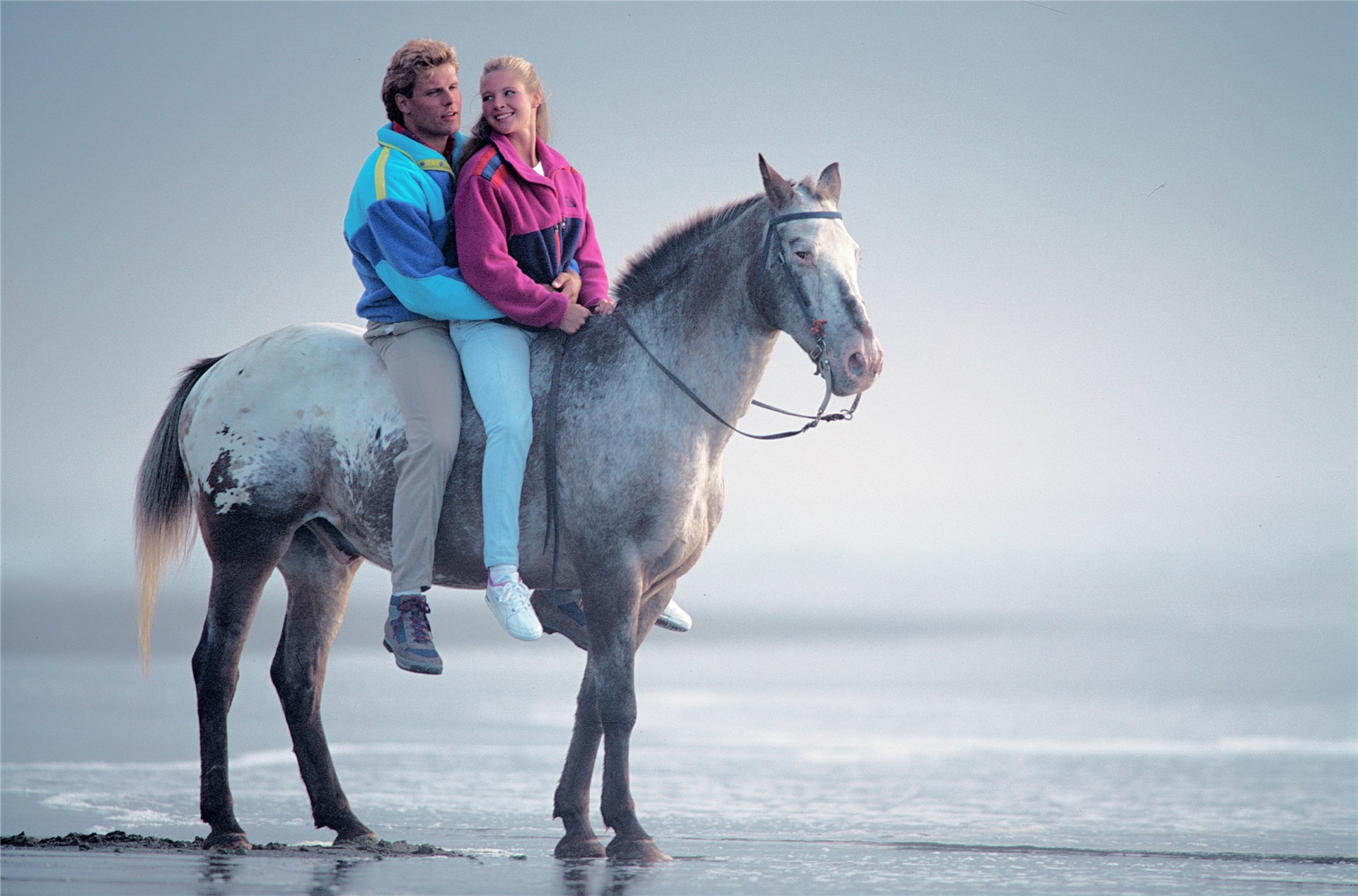 Flower of A. theophrasti.