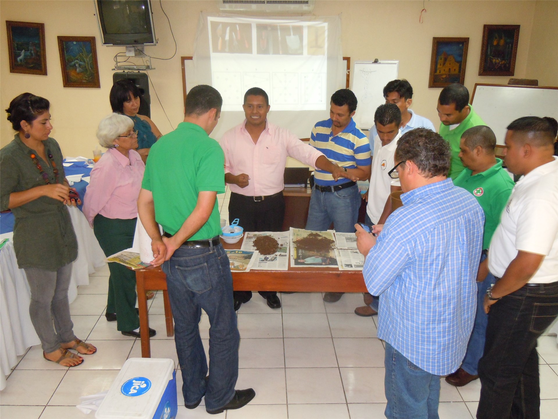 Wing Anastrepha fraterculus, wing markings and venation.