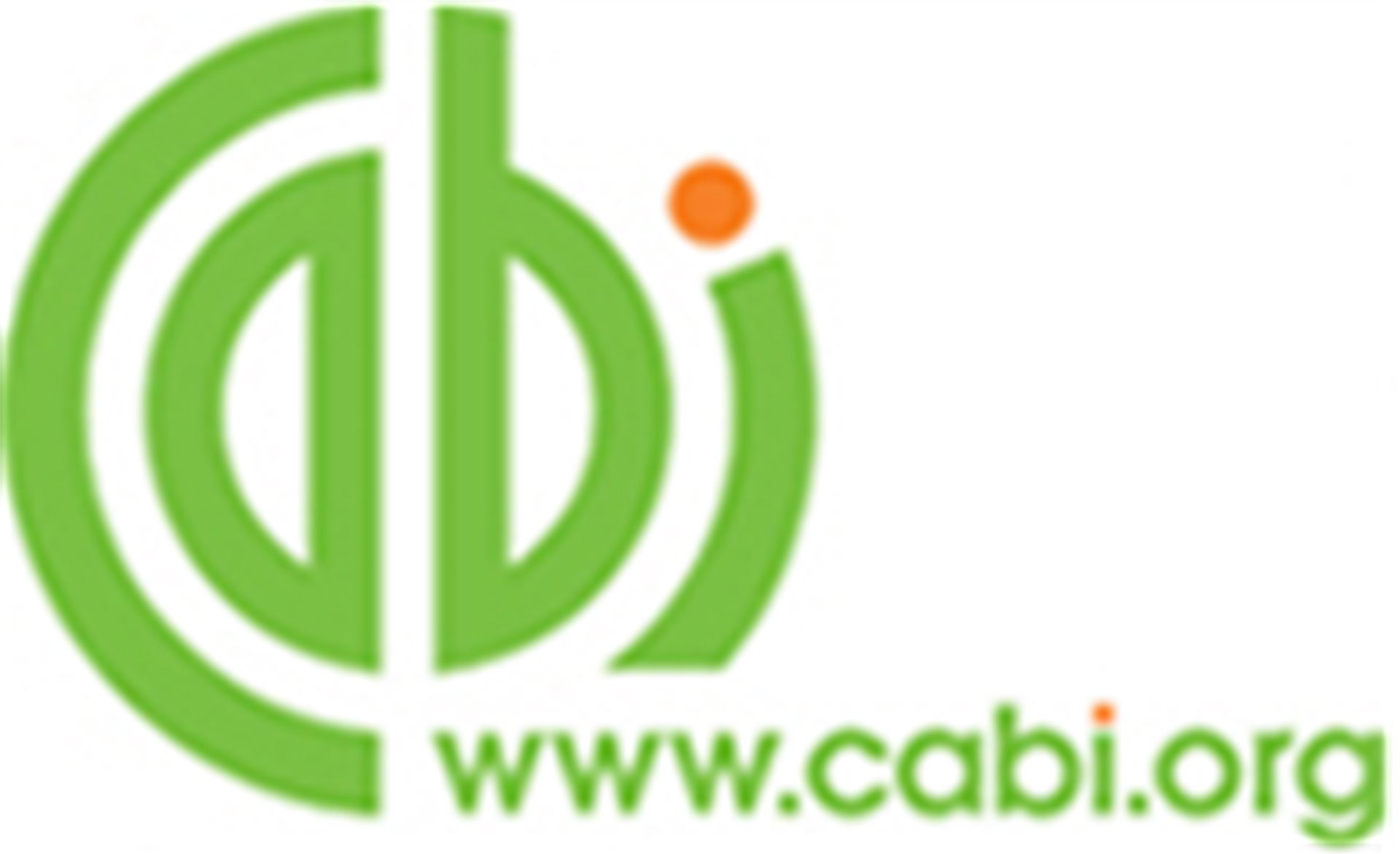 Barnacles Close-up of Chthamalus proteus (barnacle) and Siphonaria normalis (limpet) attached to natural rock habitat.