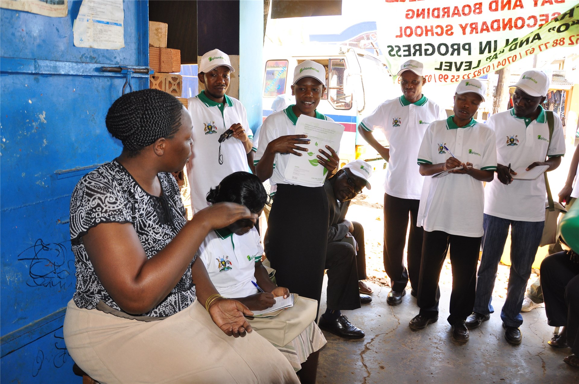 Adults Adults of the blue gum psyllid, C. eucalypti.