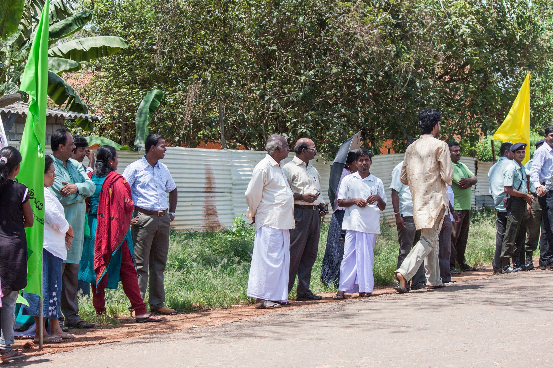 Plant parts of laurel (L. nobilis). Line drawing, not necessarily to scale. (A) flowering branch; (B) female flower; (C) fale flower; (D) inflorescence; (E) fruit.