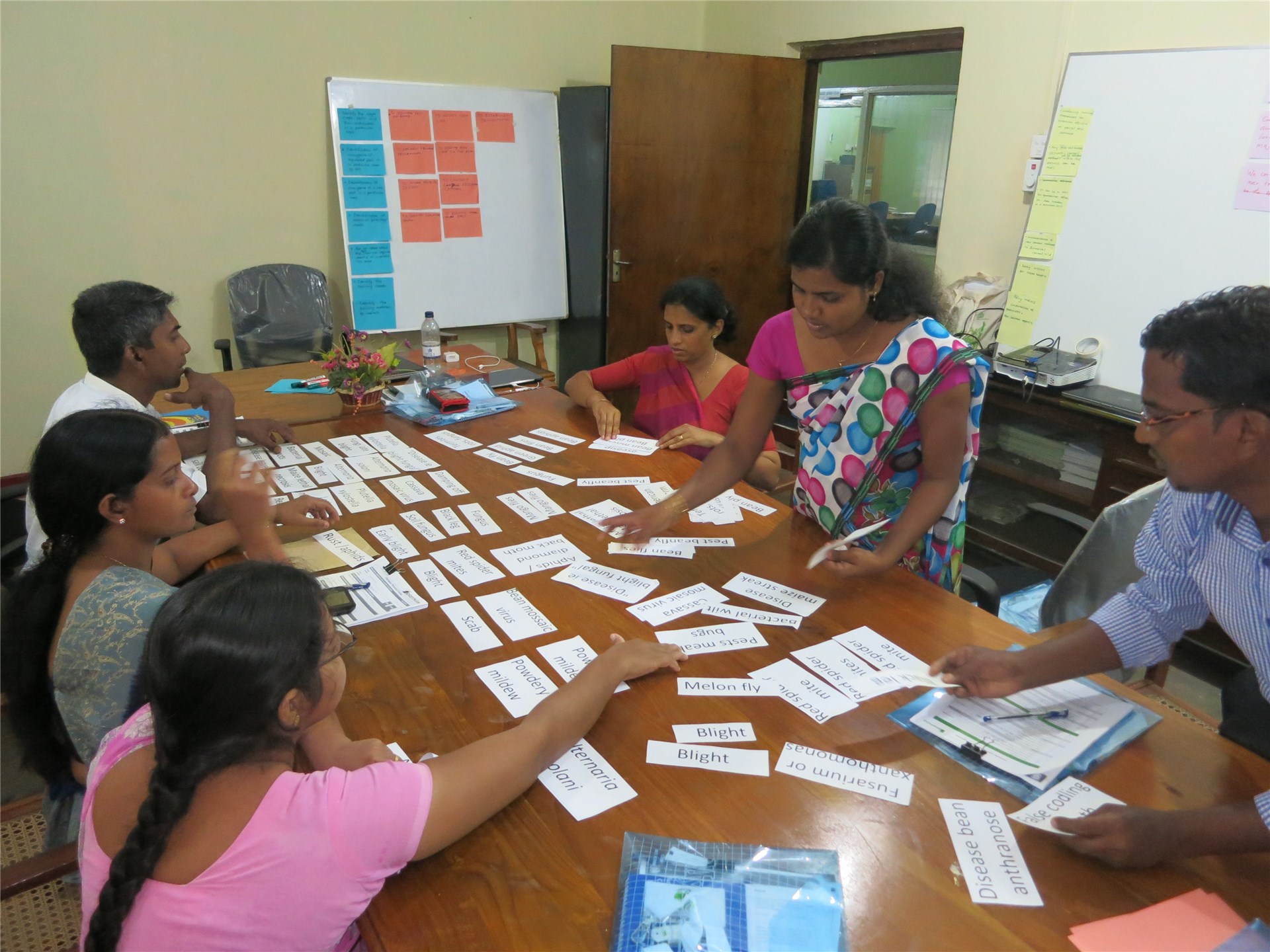 Pelagia noctiluca is easily distinguished from many other jellyfish species by the presence of eight tentacles. Photographed in The Netherlands.