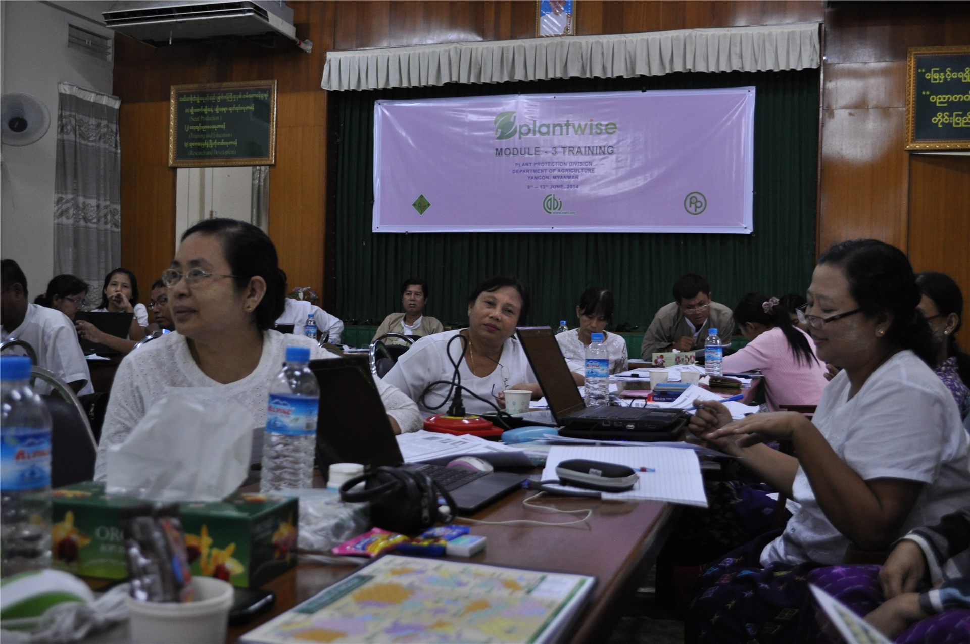 Coppiced for fuelwood Coppices thinned to a single resprout per stump, near Port-au-Prince, Haiti.