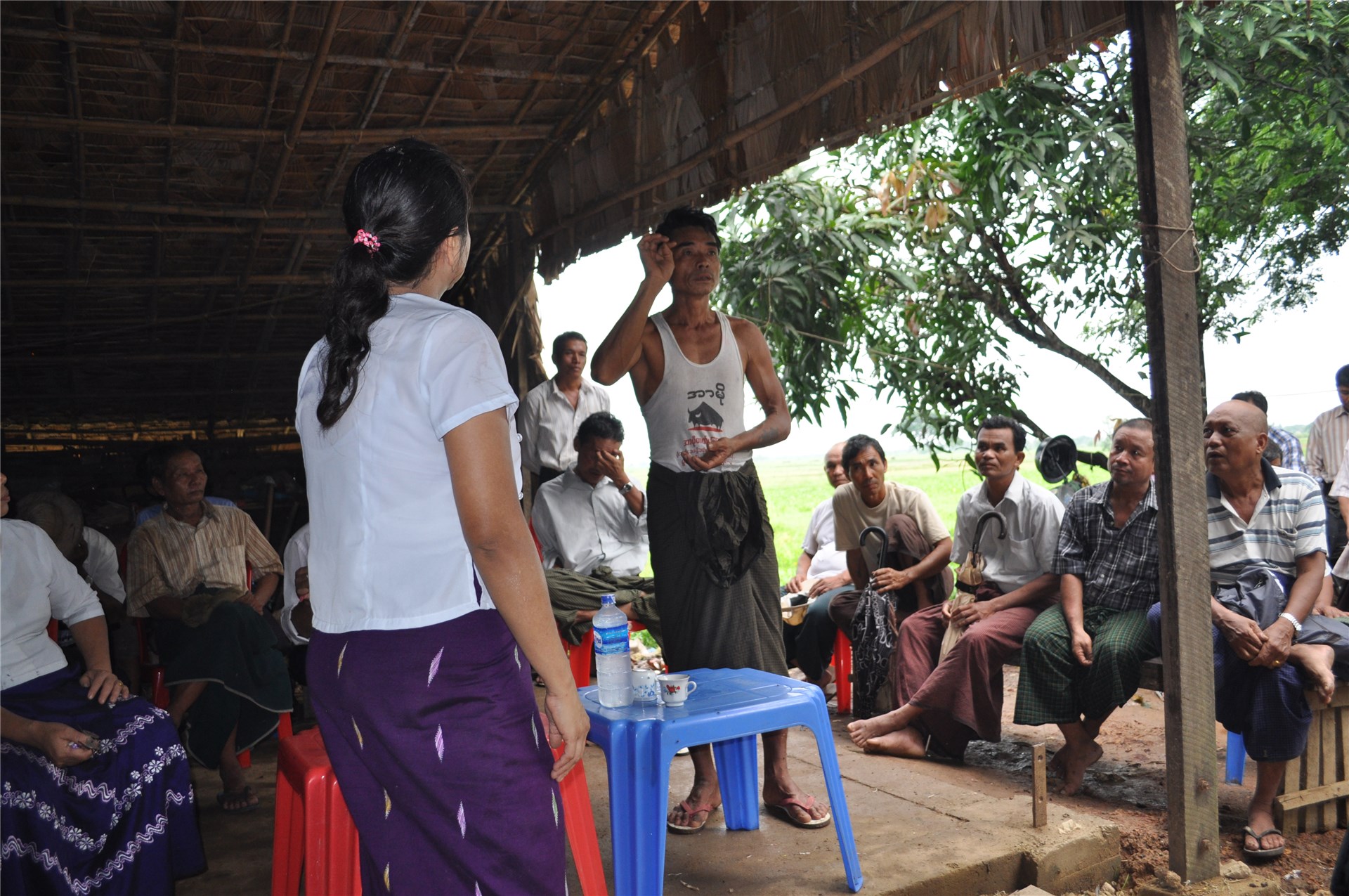 Medium-sized tree Typical branchy spreading form, growing in dry thorn scrub forest, Managua, Nicaragua.
