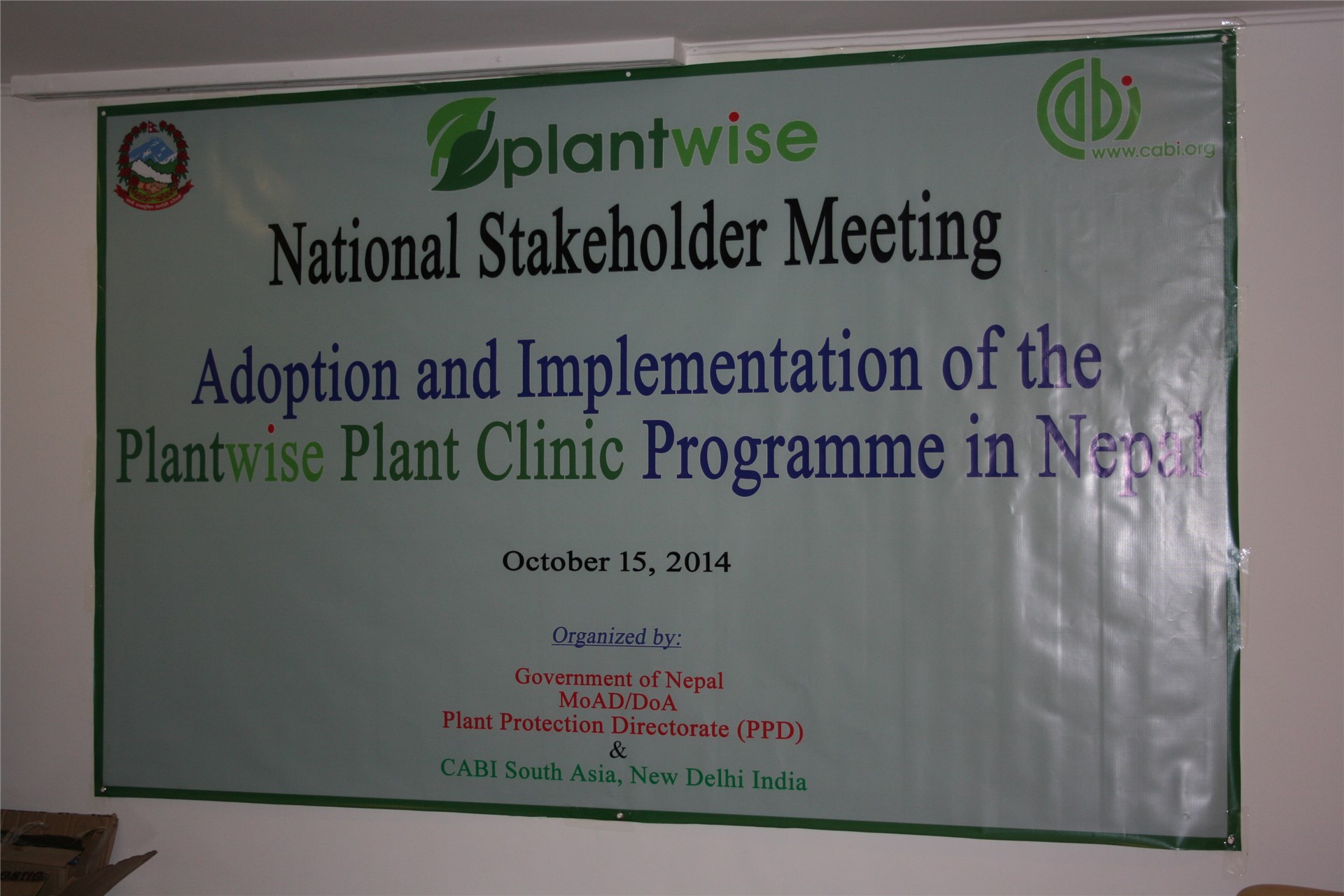 Pods Ripe straw-coloured pods of Prosopis juliflora. The pods are indehiscent and relished by livestock, accounting for widespread dispersal of seed across rangeland.