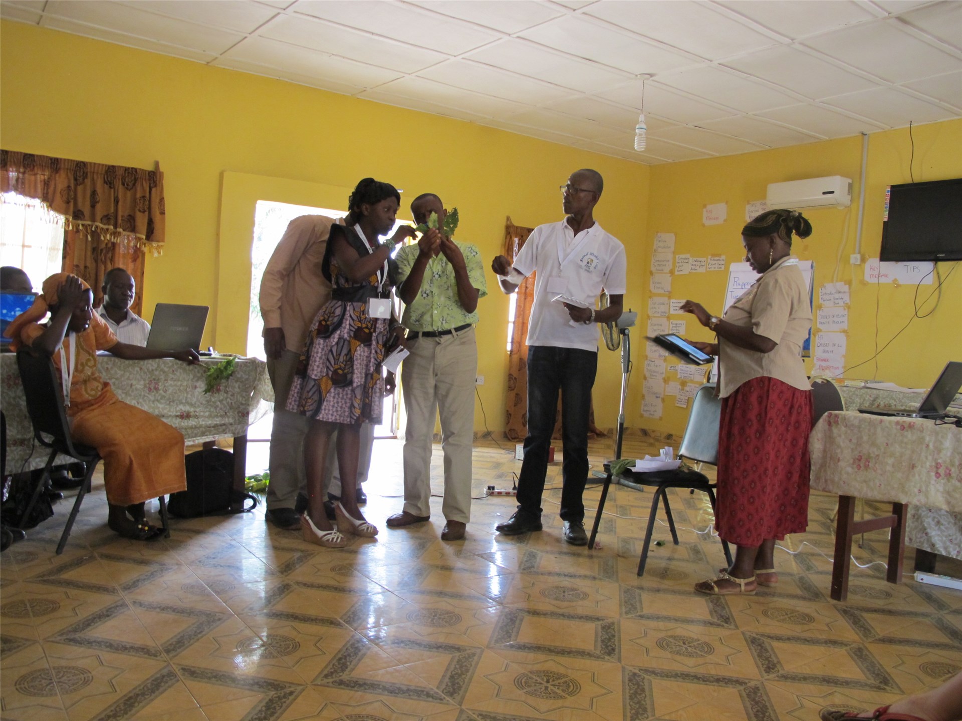 P. cattleianum seeds.