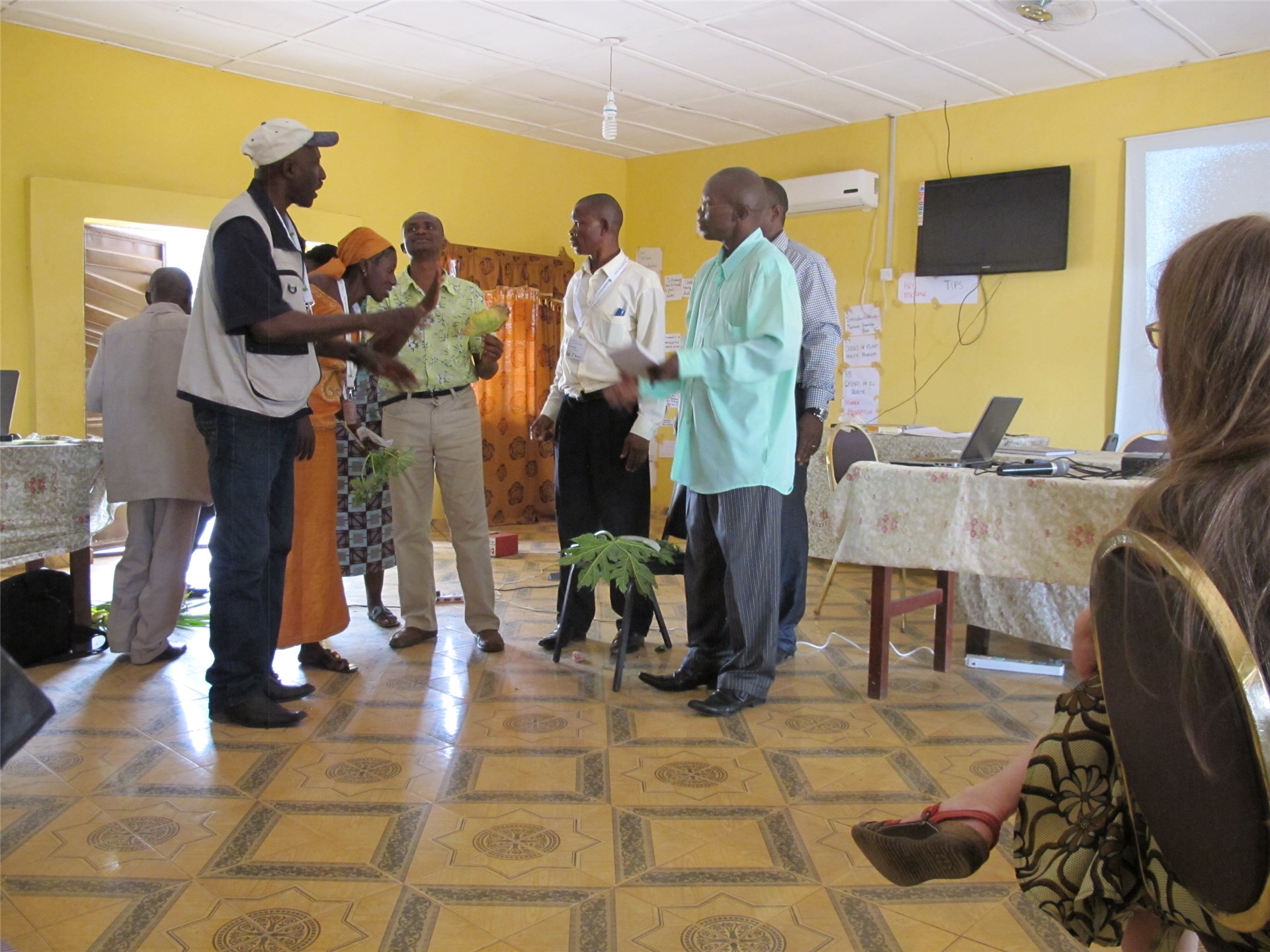 P. cattleianum seedlings. Note the numerous seeds on the soil.