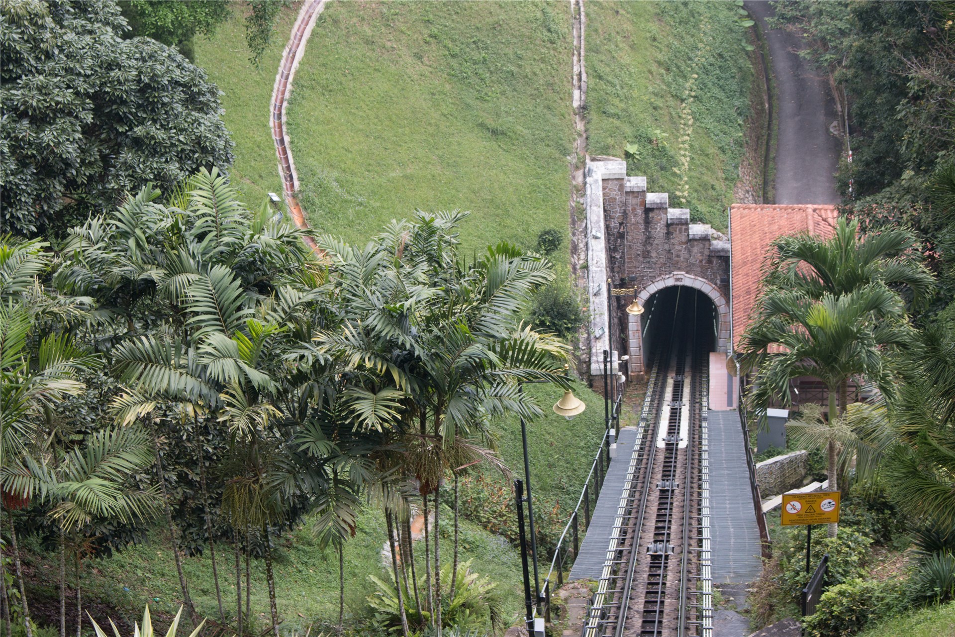 Beauveria bassiana (white muscardine fungus); conidiophores 1-2µm wide, bearing groups of clustered conidiogenous cells, 3-6 x 3-5µm, which may branch to give rise to further globose or flask-shaped conidiogenous cells.
