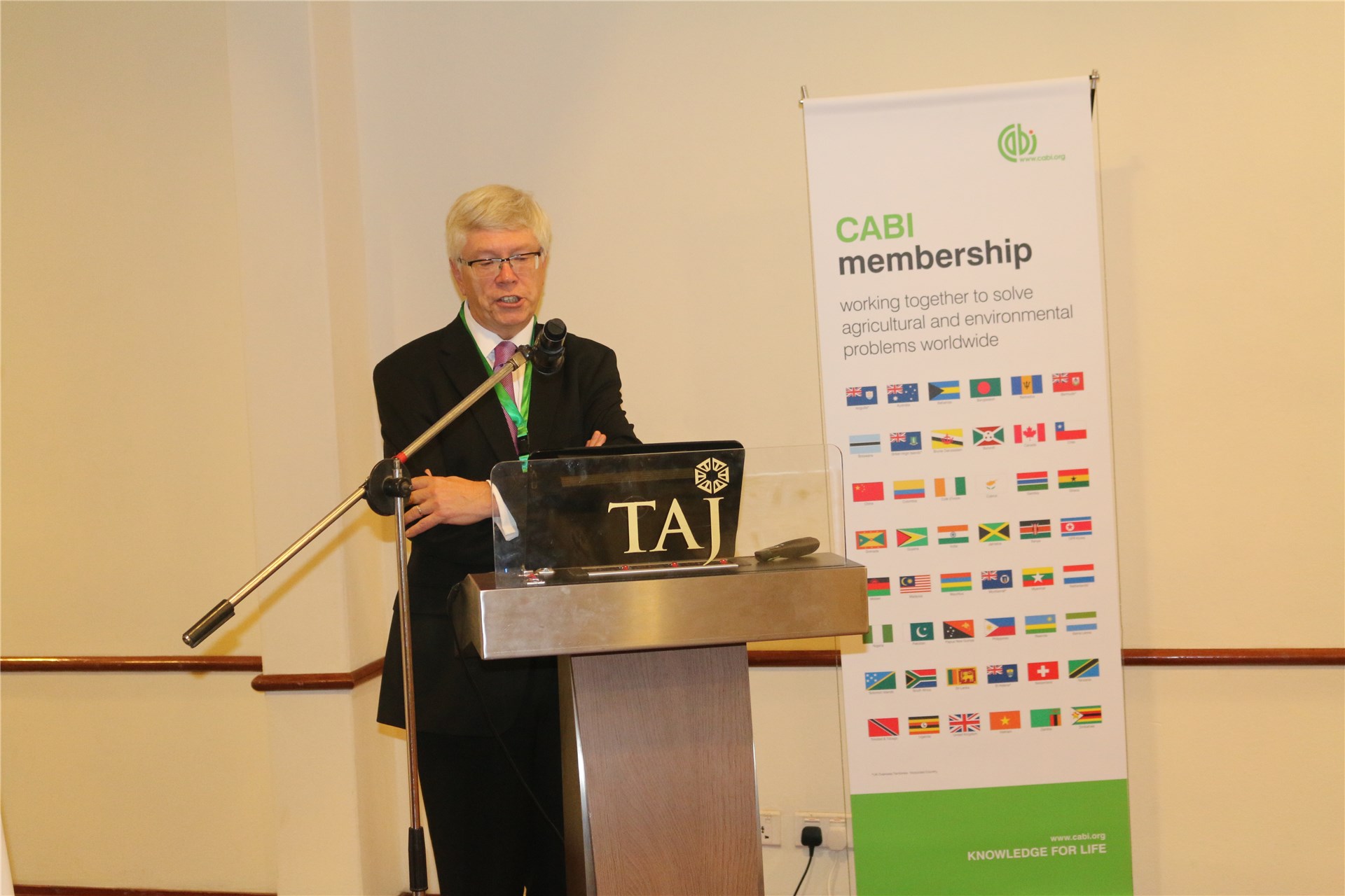 Stem and spines Stem and spines