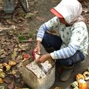 Improving SPS training and knowledge sharing in cocoa (CocoaSafe)