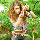 Controlling wild ginger