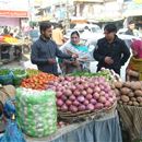 Training facilitators and farmers in Pakistan