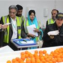 Tackling Pakistan’s pests