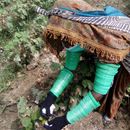 Producing better cotton in Pakistan