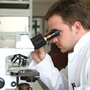 Establishing a centre for crop health and protection in the UK