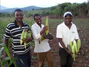 Optimizing Fertilizer Recommendations in Africa (OFRA)