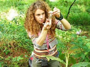 Controlling wild ginger