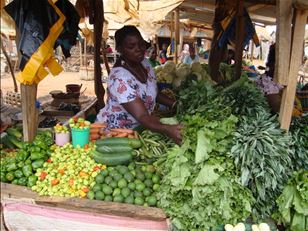 Promoting good seed in East Africa