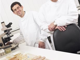 MIRRI: improving access to microbial resources, services and data