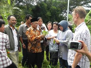 Managing invasive species in selected forest ecosystems of South East Asia