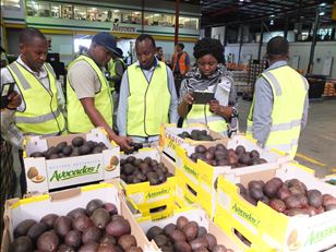 Australia-Africa plant biosecurity partnership