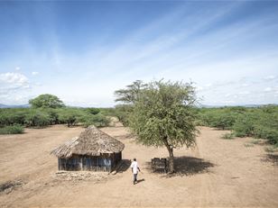 Measuring the livelihood impacts of invasive alien species in East Africa