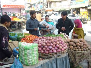 Training facilitators and farmers in Pakistan