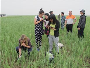 Improving the rational use of pesticides for locusts in China