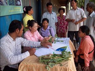 Strengthening agro-ecosystem health and building resilience in Climate Smart Villages