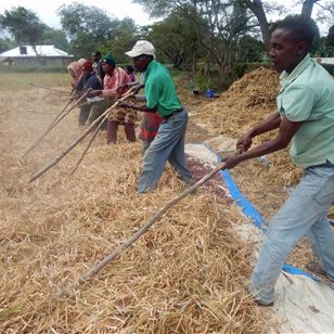 SILT project in Tanzania