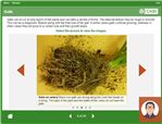 PestSmart eLearning Module 1 screenshot