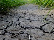 Cracked dry earth