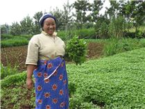 Farmer with a bunch of Amaranth harvested from her farm - ready for sale